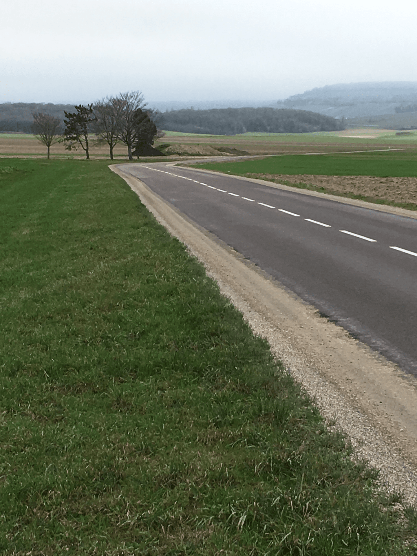 Paysage hivernal de la Marne