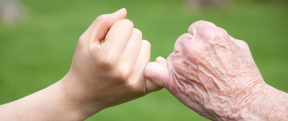 Accompagnement en soins palliatifs